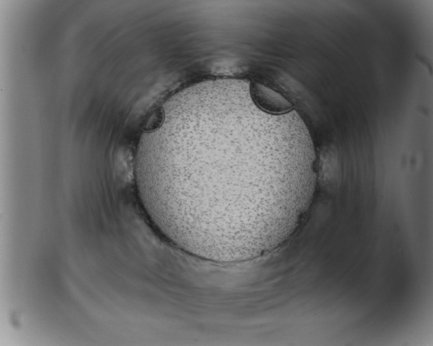 X0000103490043200809191932