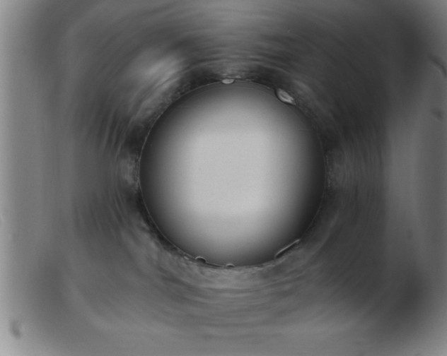 X0000103490044200809191932