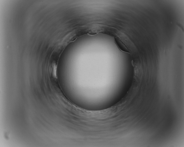 X0000103490046200809191932