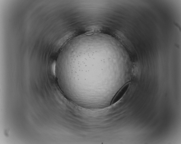 X0000103490047200809191932