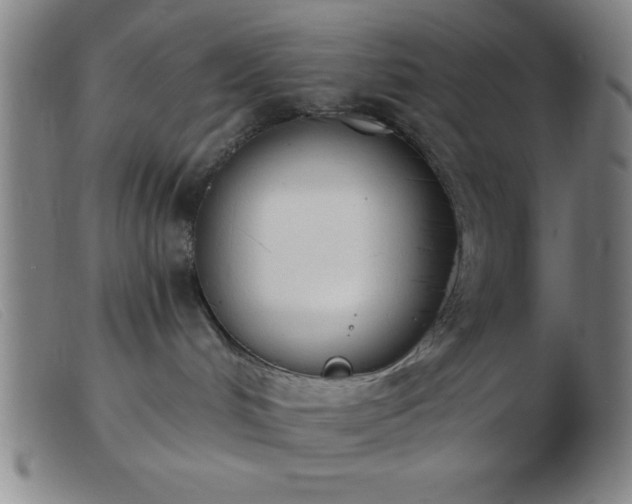 X0000103490048200809191932