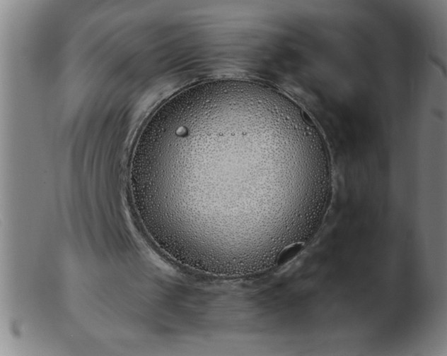 X0000103490049200809191932