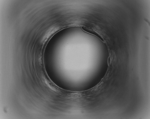 X0000103490050200809191932