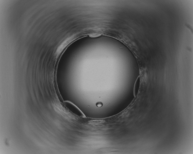 X0000103490051200809191932