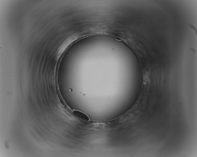 X0000103490052200809191932