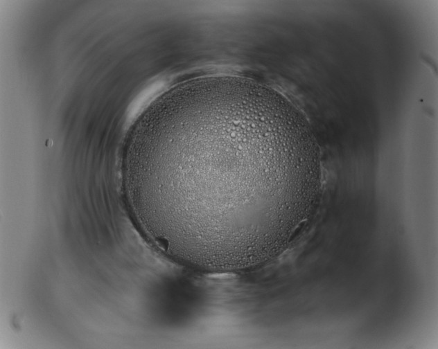 X0000103490053200809191932