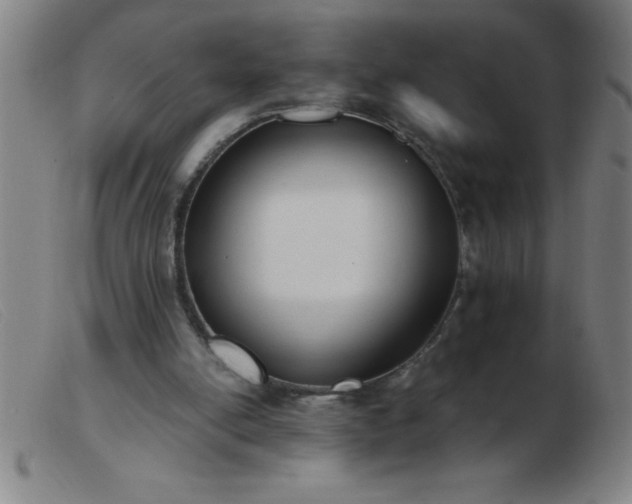 X0000103490054200809191932