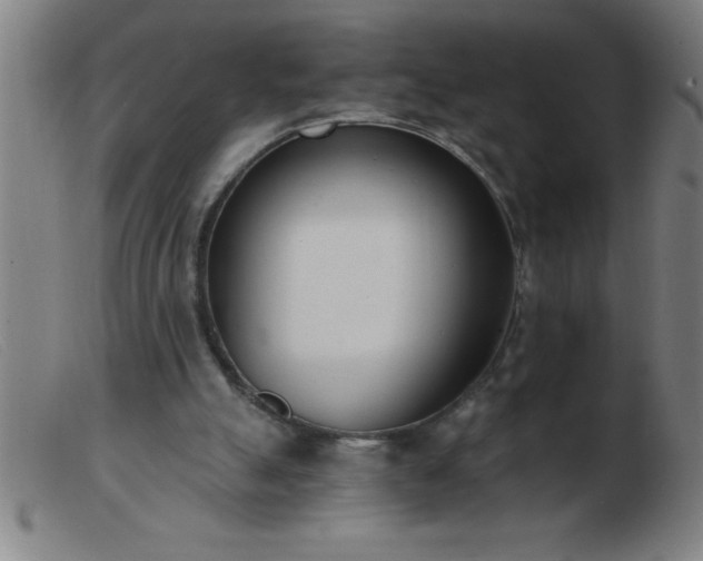 X0000103490055200809191932