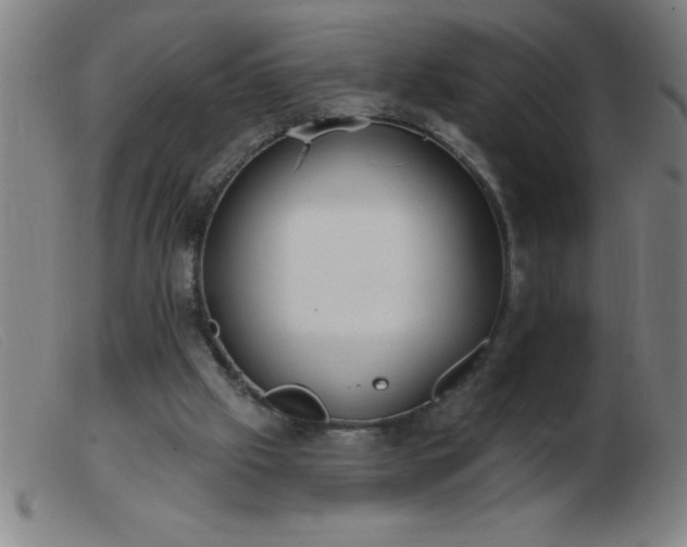 X0000103490057200809191932