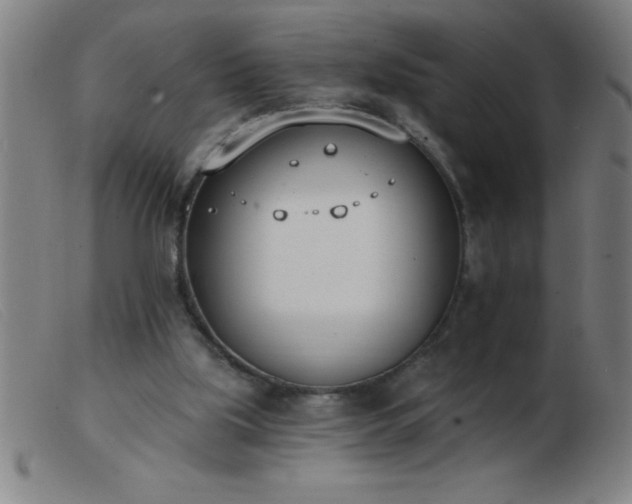 X0000103490059200809191932