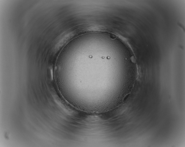 X0000103490061200809191932