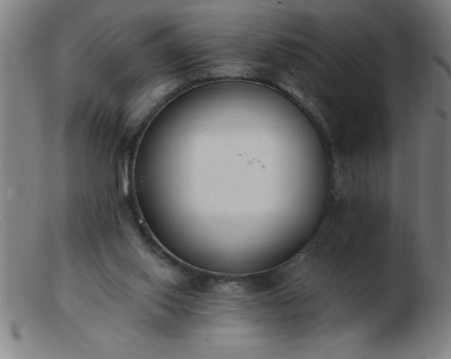 X0000103490062200809191932