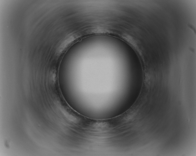 X0000103490063200809191932