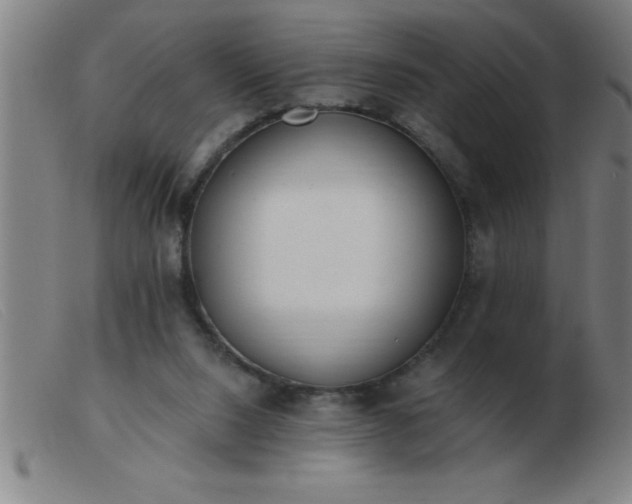 X0000103490064200809191932