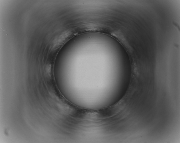 X0000103490066200809191932