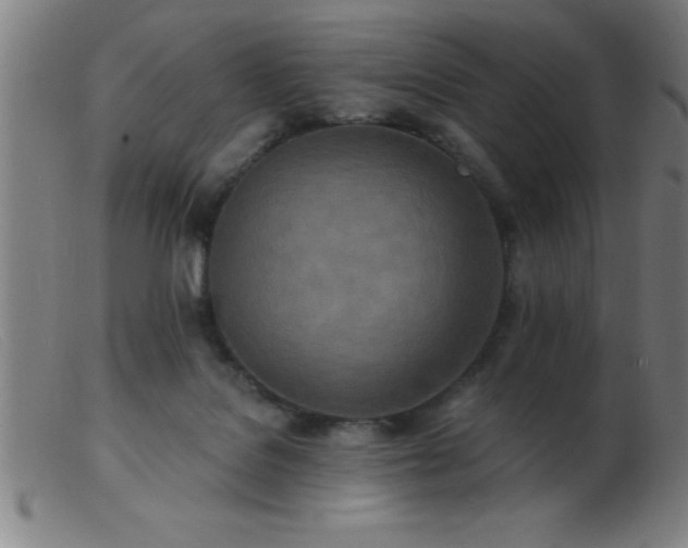 X0000103490076200809191932