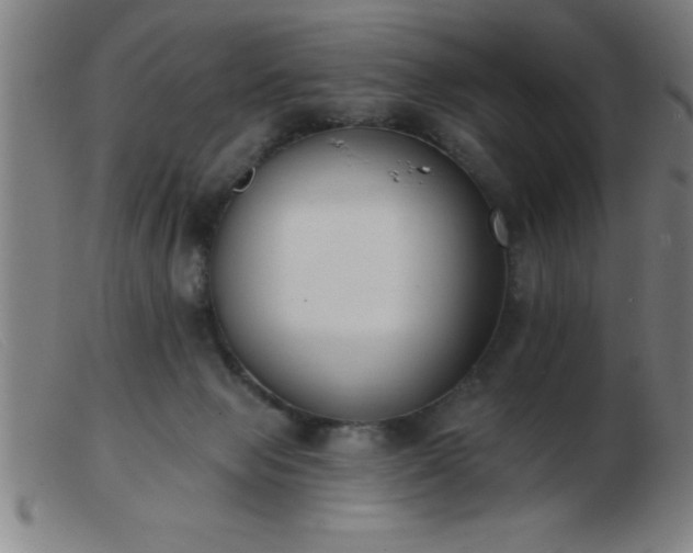 X0000103490077200809191932