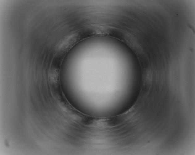 X0000103490078200809191932