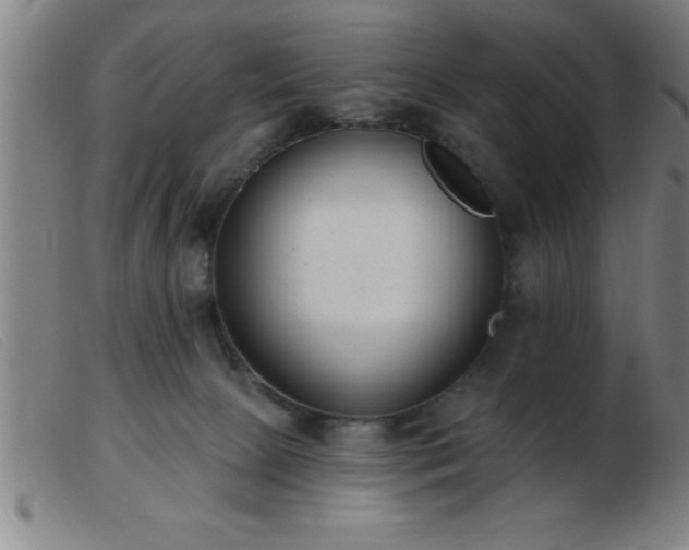 X0000103490081200809191932