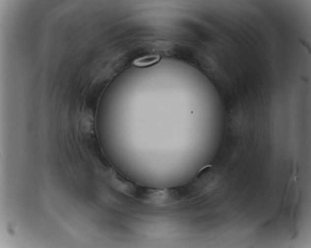 X0000103490083200809191932