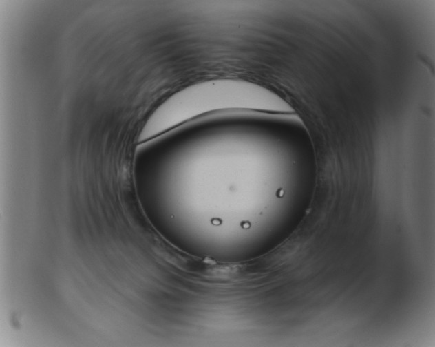 X0000103490084200809191932