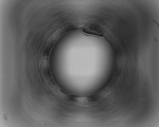 X0000103490085200809191932