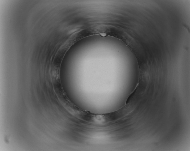 X0000103490091200809191932