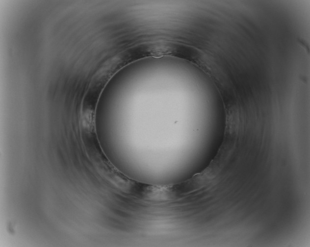 X0000103490093200809191932