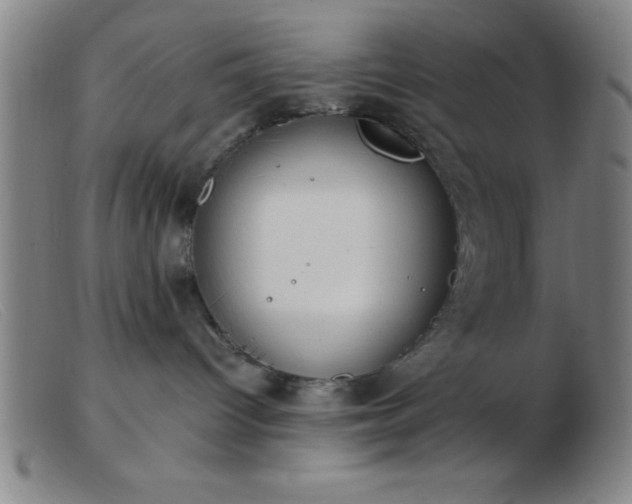 X0000103490096200809191932