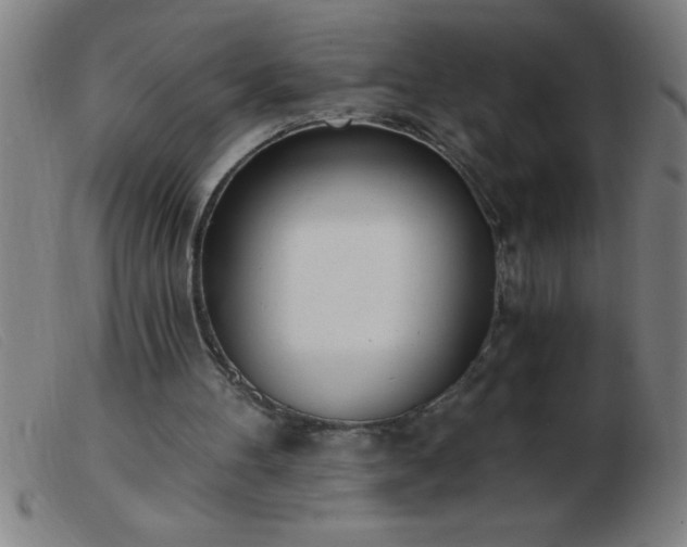 X0000103490100200809191932