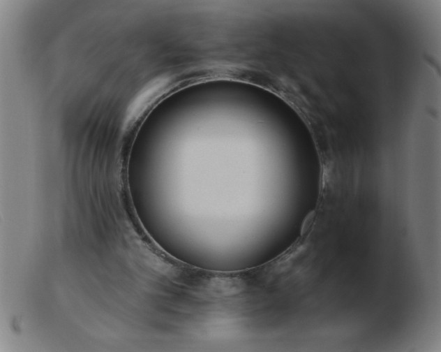 X0000103490101200809191932