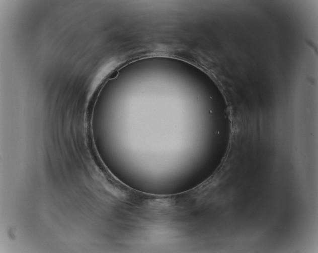 X0000103490102200809191932