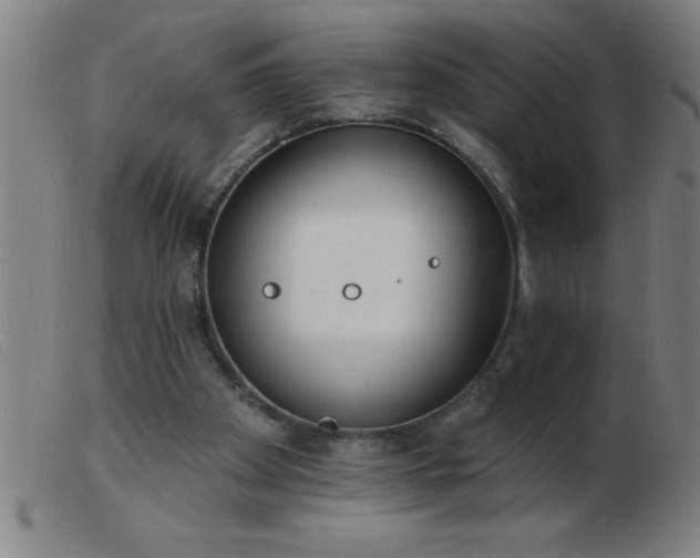 X0000103490105200809191931