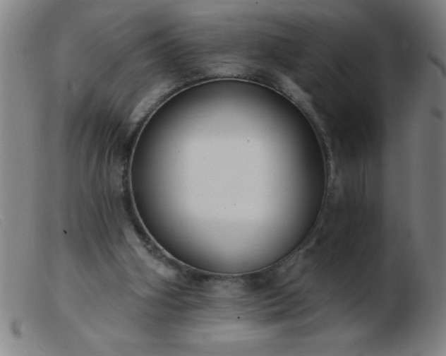 X0000103490106200809191931