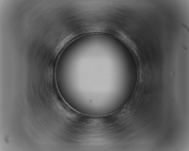 X0000103490107200809191931