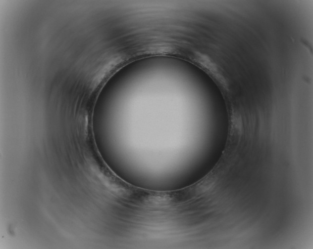 X0000103490110200809191931