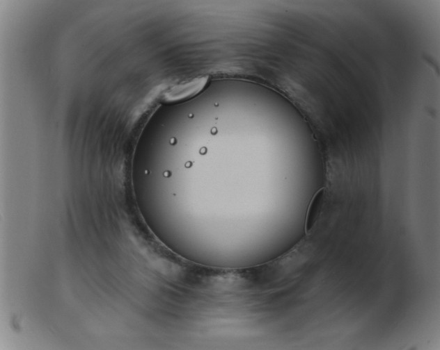 X0000103490112200809191931