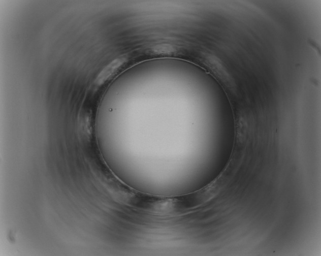 X0000103490116200809191931