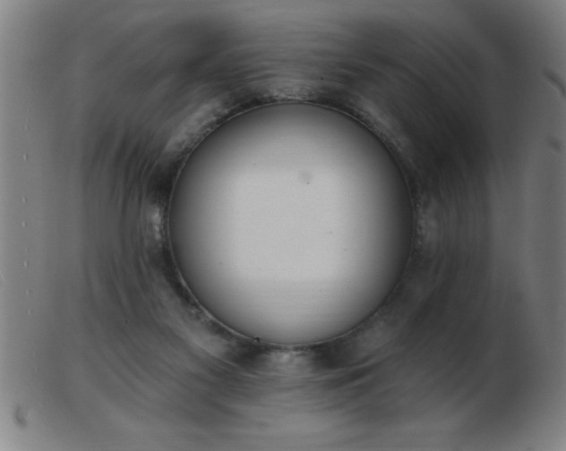 X0000103490117200809191931