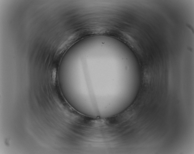 X0000103490118200809191931