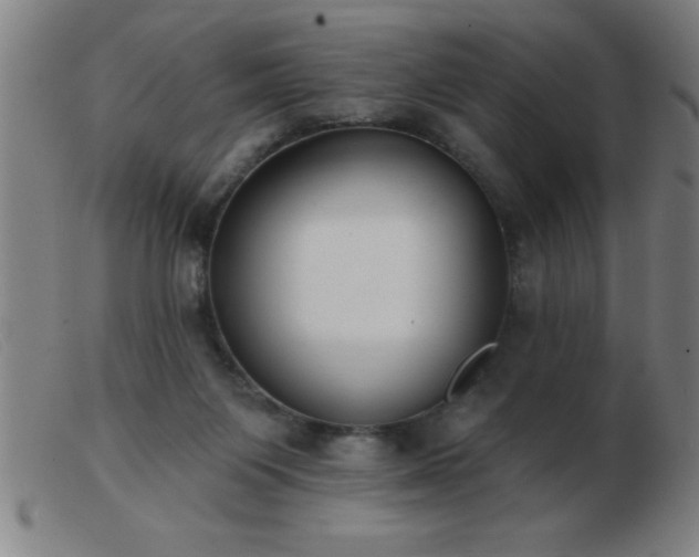 X0000103490119200809191931