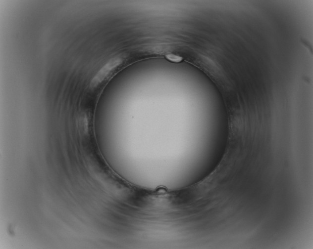 X0000103490120200809191931