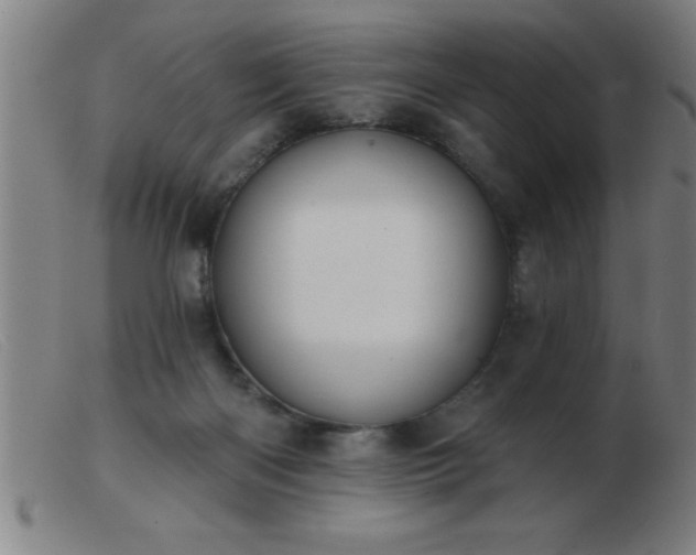 X0000103490122200809191931