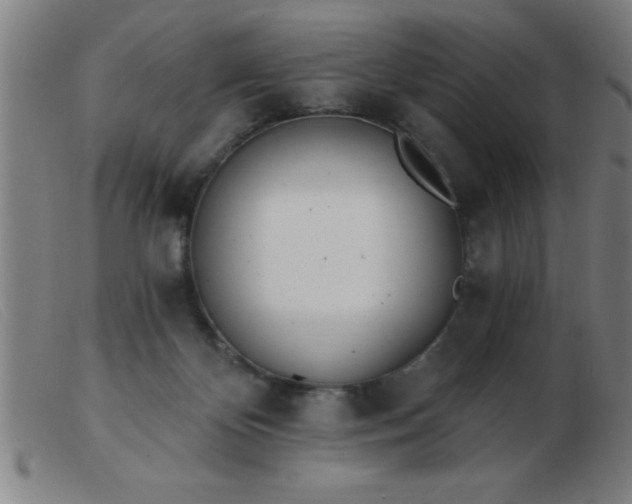 X0000103490124200809191931