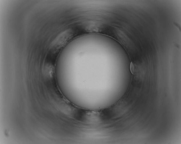 X0000103490125200809191931