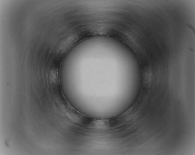 X0000103490126200809191931