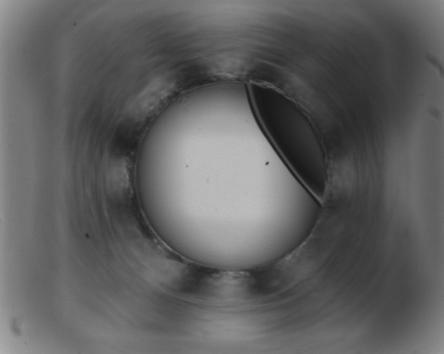 X0000103490128200809191931