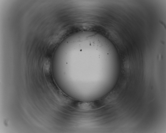 X0000103490129200809191931