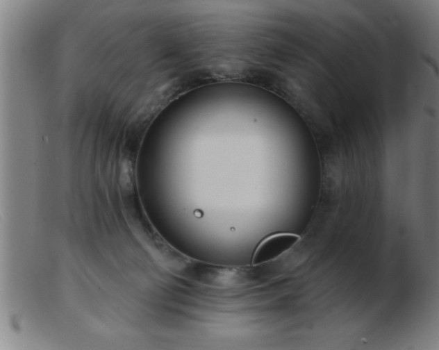 X0000103490130200809191931