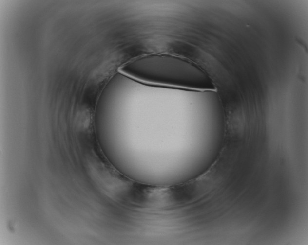 X0000103490132200809191931